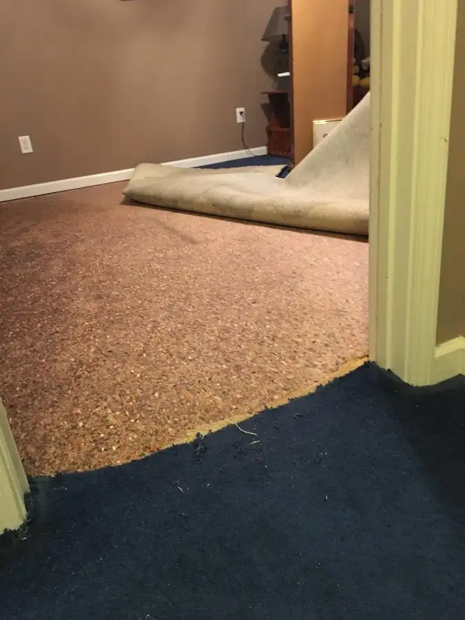 Carpet pad removal revealing water damage during Drying & Dehumidification in East Longmeadow