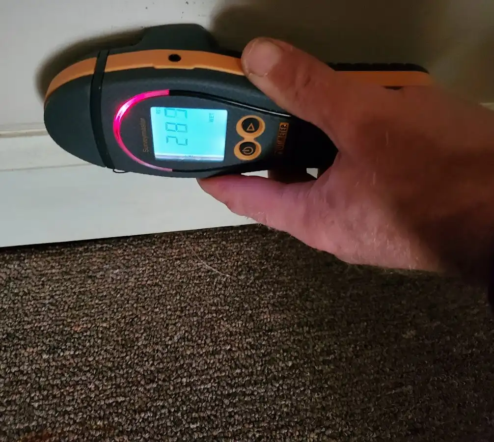 Moisture detection at baseboard during Mold Inspection & Testing in East Longmeadow